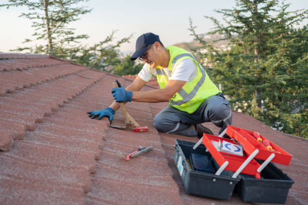 Quick and Trustworthy Emergency Roof Repair Services in Dover, DE